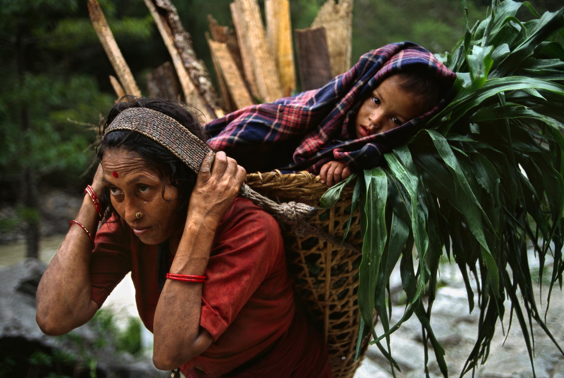 地球上的孩子，尼泊尔。来自摄影师Steve McCurry。 