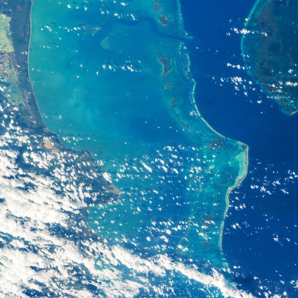 伯利兹城的珊瑚礁，来自宇航员Jeff Williams。 