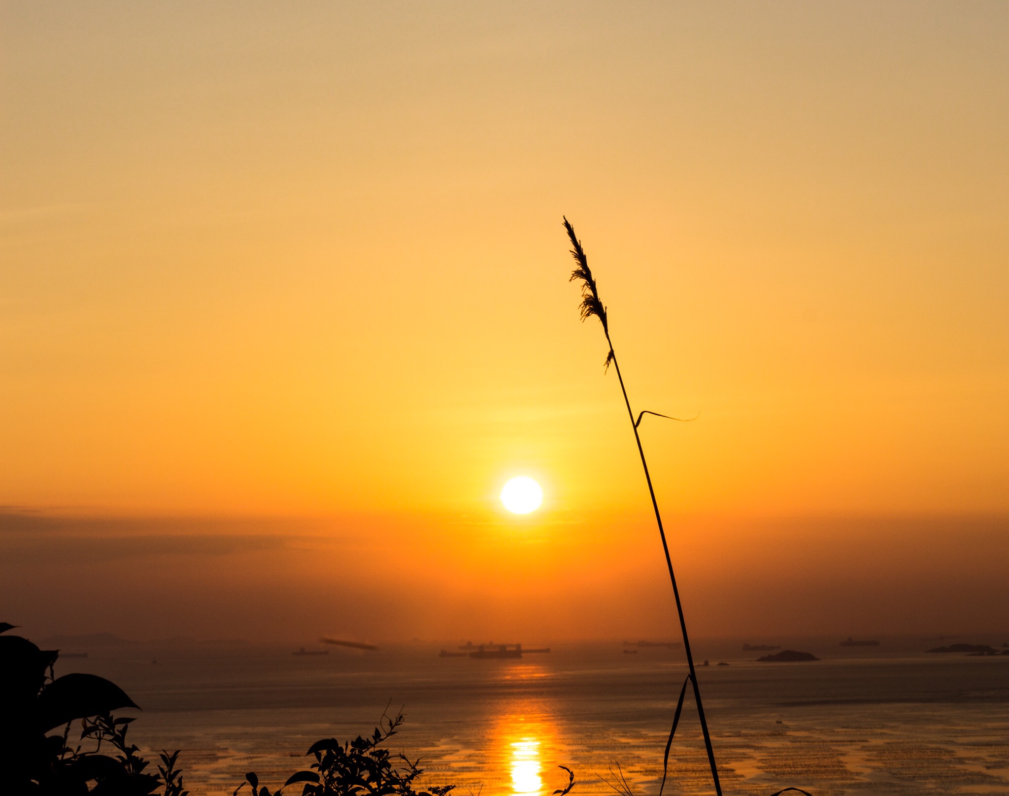 夕陽無限好只是近黃昏