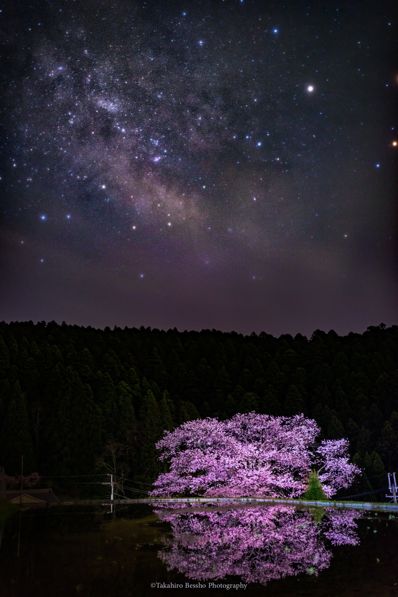 樱花星空 自然风景图片