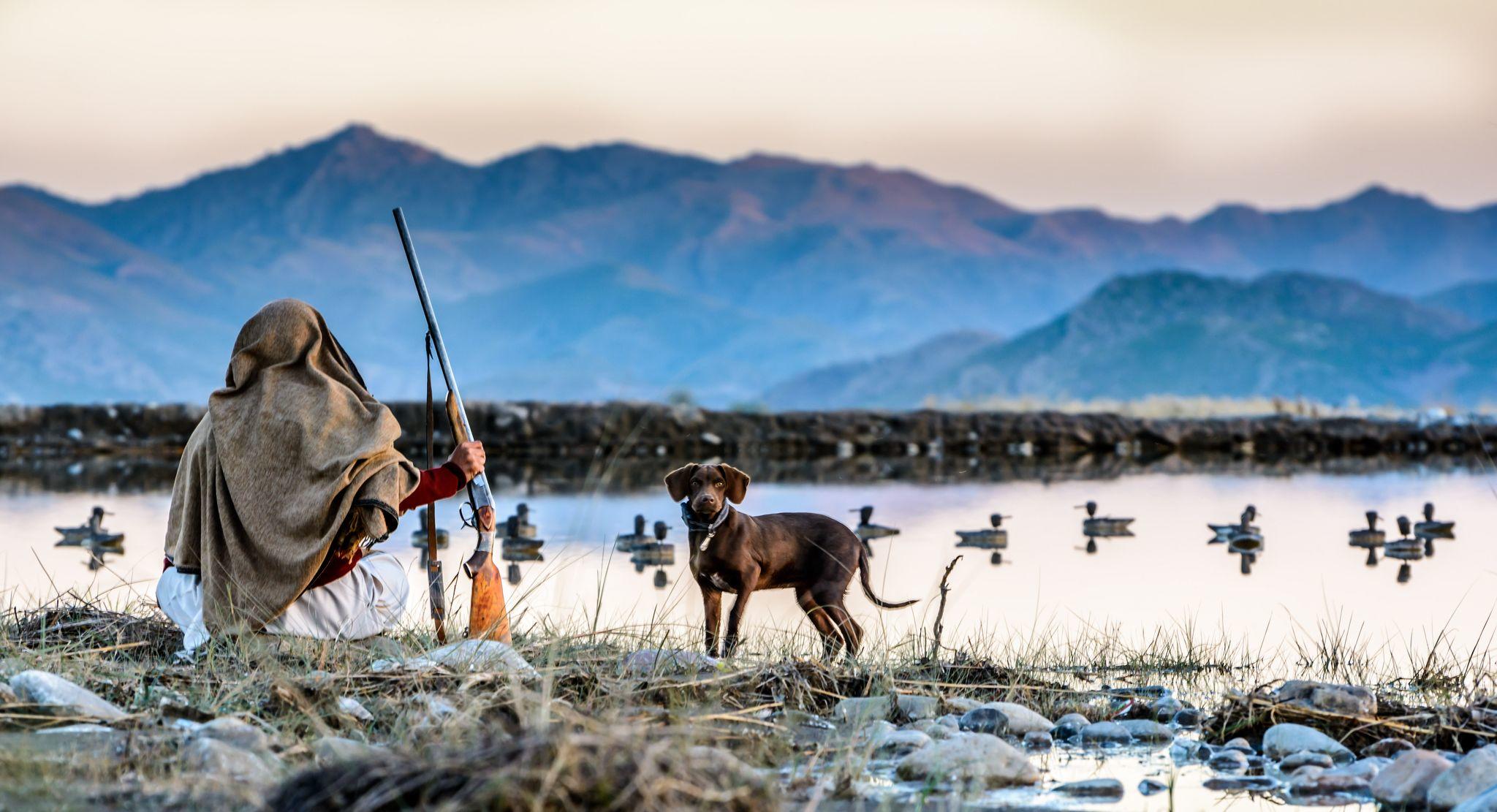  在巴基斯坦，靠近阿富汗边境的地方，在清晨的野鸭猎人，来自摄影师IRFAN TURI。 