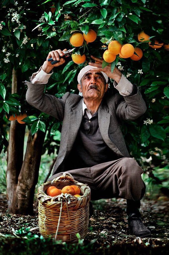  Steve McCurry摄于1982年黎巴嫩。 