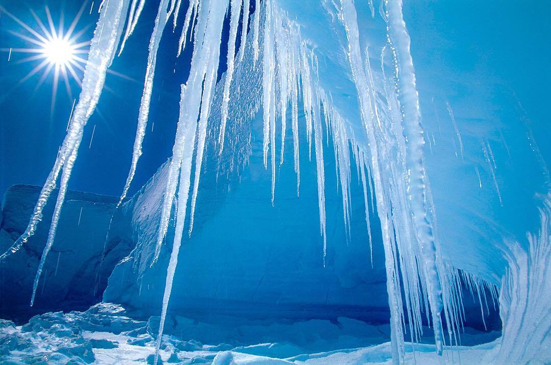  南极融化结成的冰凌，来自摄影师Frans Lanting。 