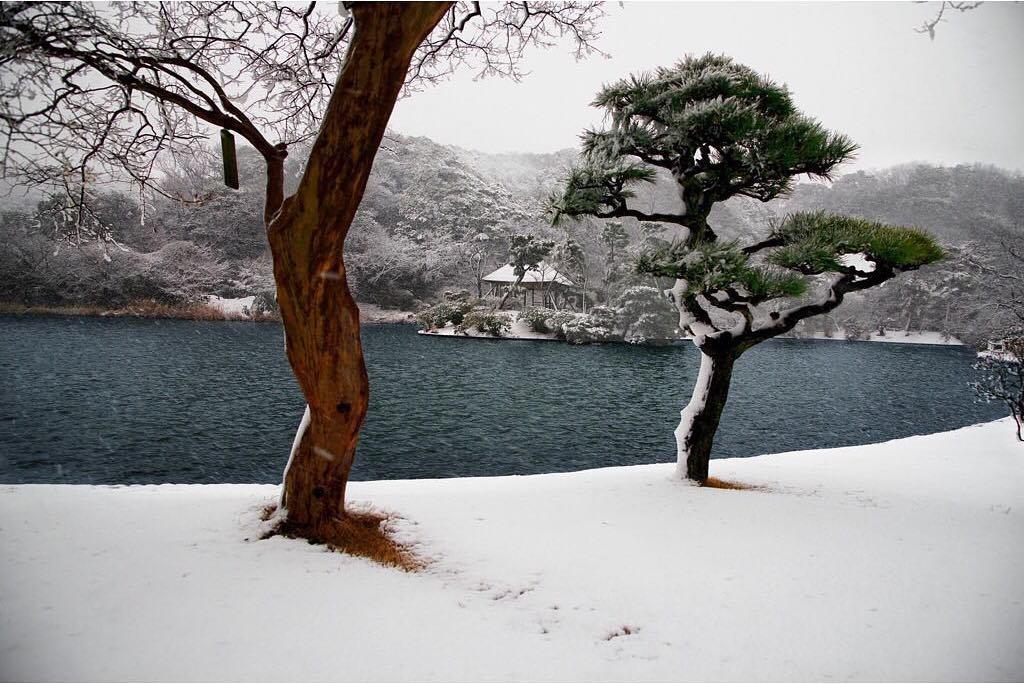  日本横滨三溪园的雪景，Steve McCurry摄于2014年。 