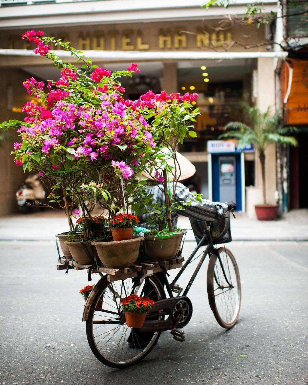  越南河内的卖花者，来自摄影师Taylor Glenn。 
