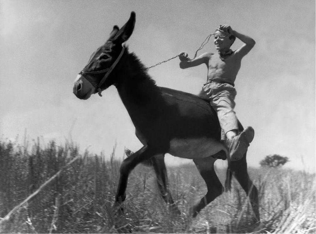  骑着小毛驴的年轻人，Werner Bischof摄于1946年意大利托斯卡纳。 