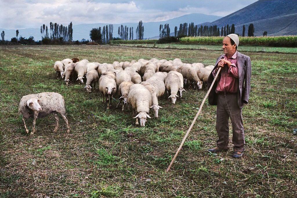  牧羊人，Steve McCurry摄于1989年科索沃。 