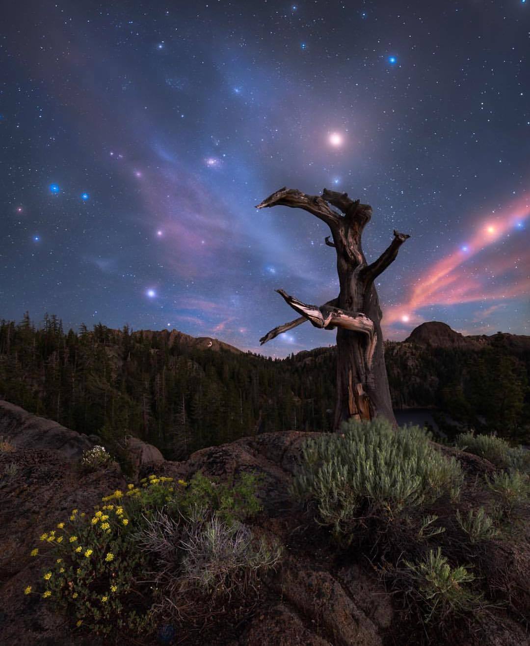  加州内华达山脉的夜空，来自摄影师Eric Houck。 