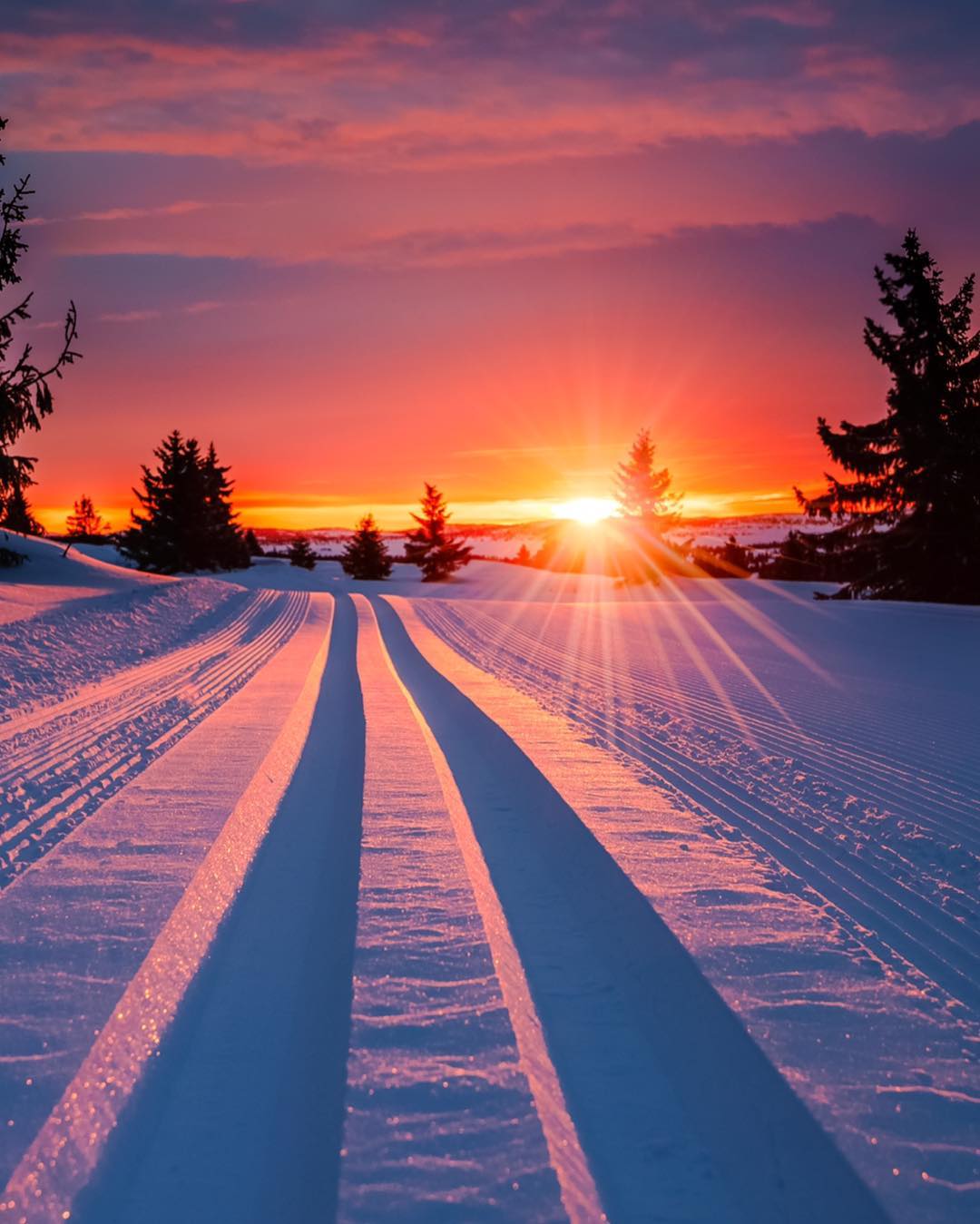 日出下的雪来自摄影师jappern