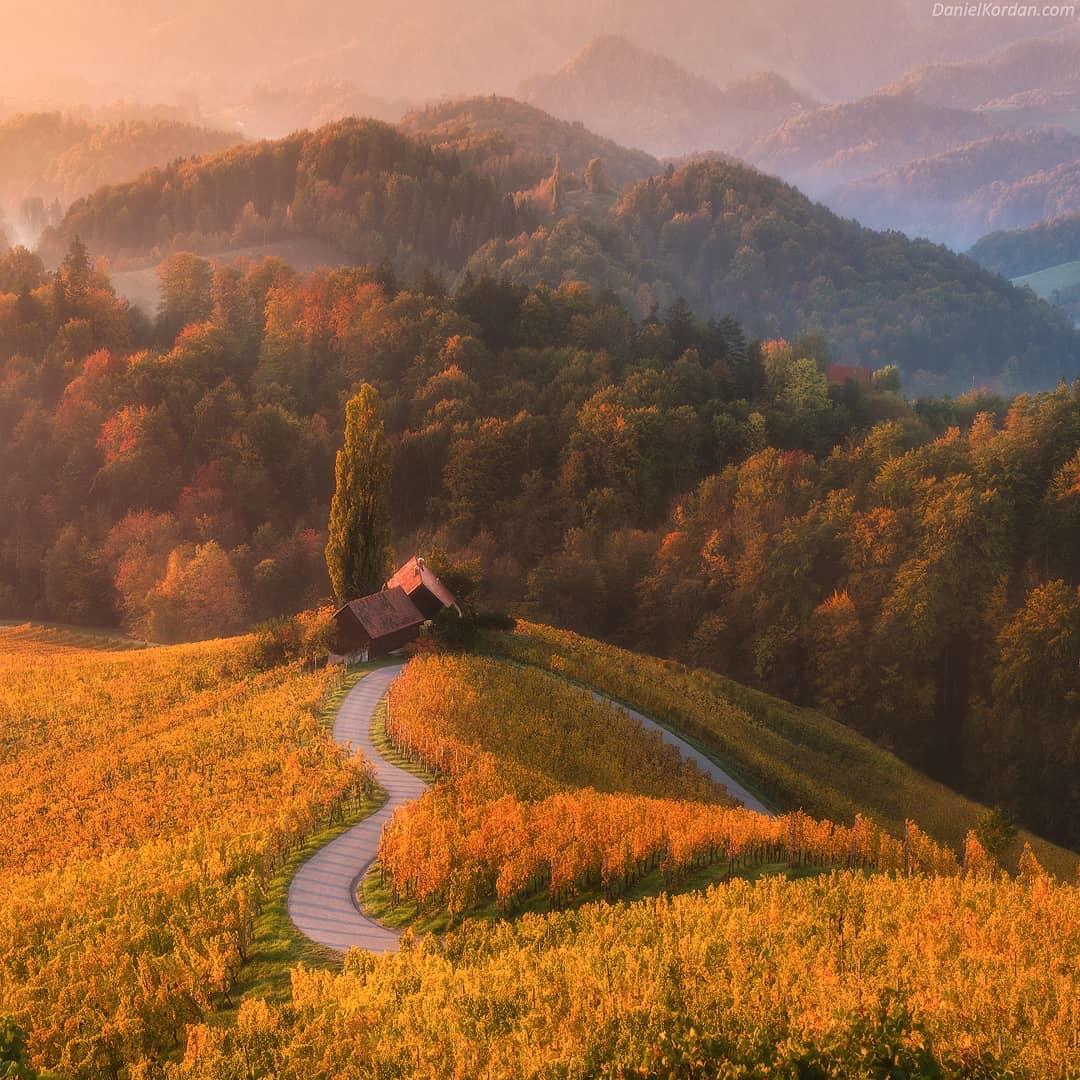  斯洛文尼亚马里博尔的秋天，来自摄影师Daniel Kordan。 
