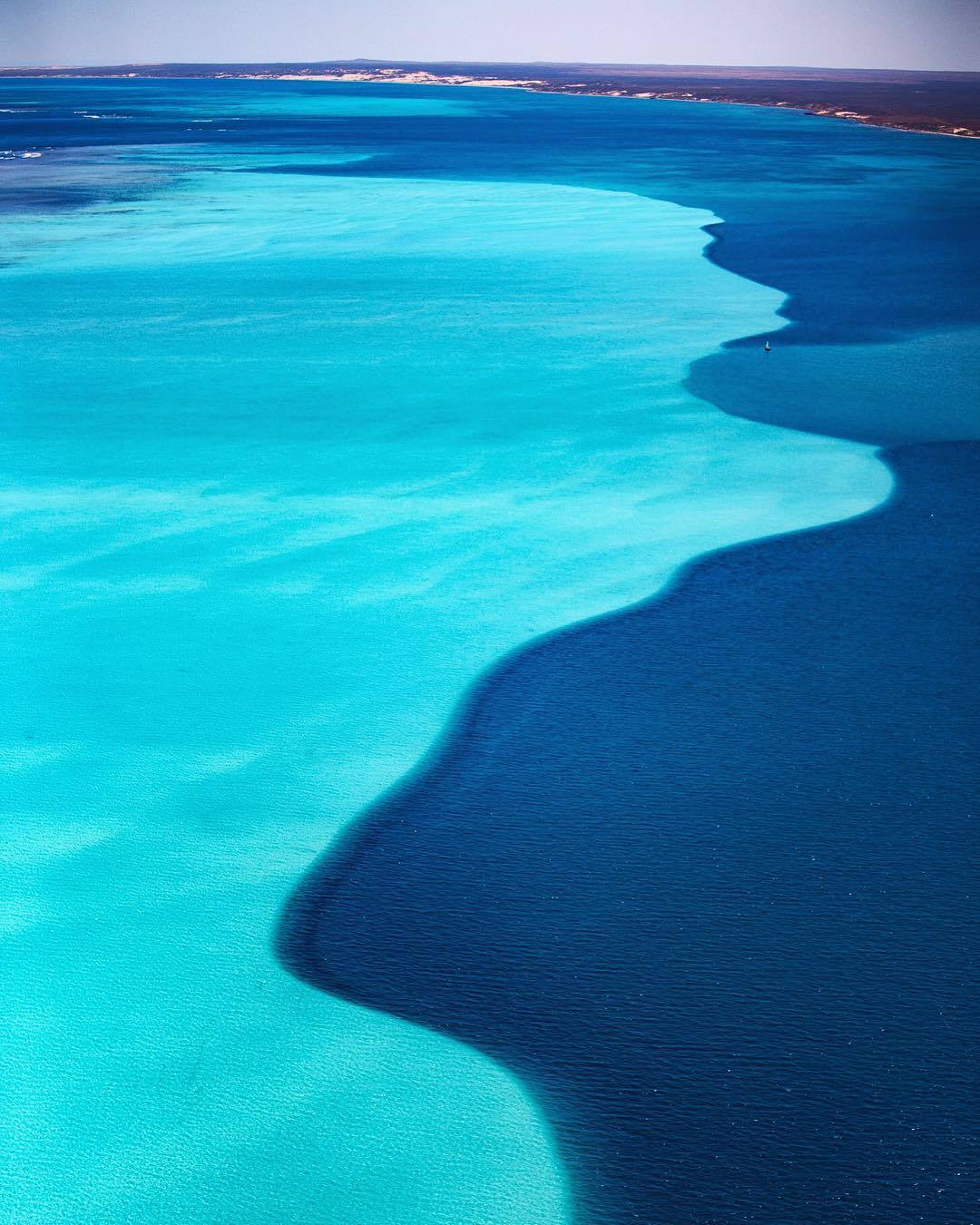  澳大利亚珊瑚湾，来自摄影师Prue Wheeler。 