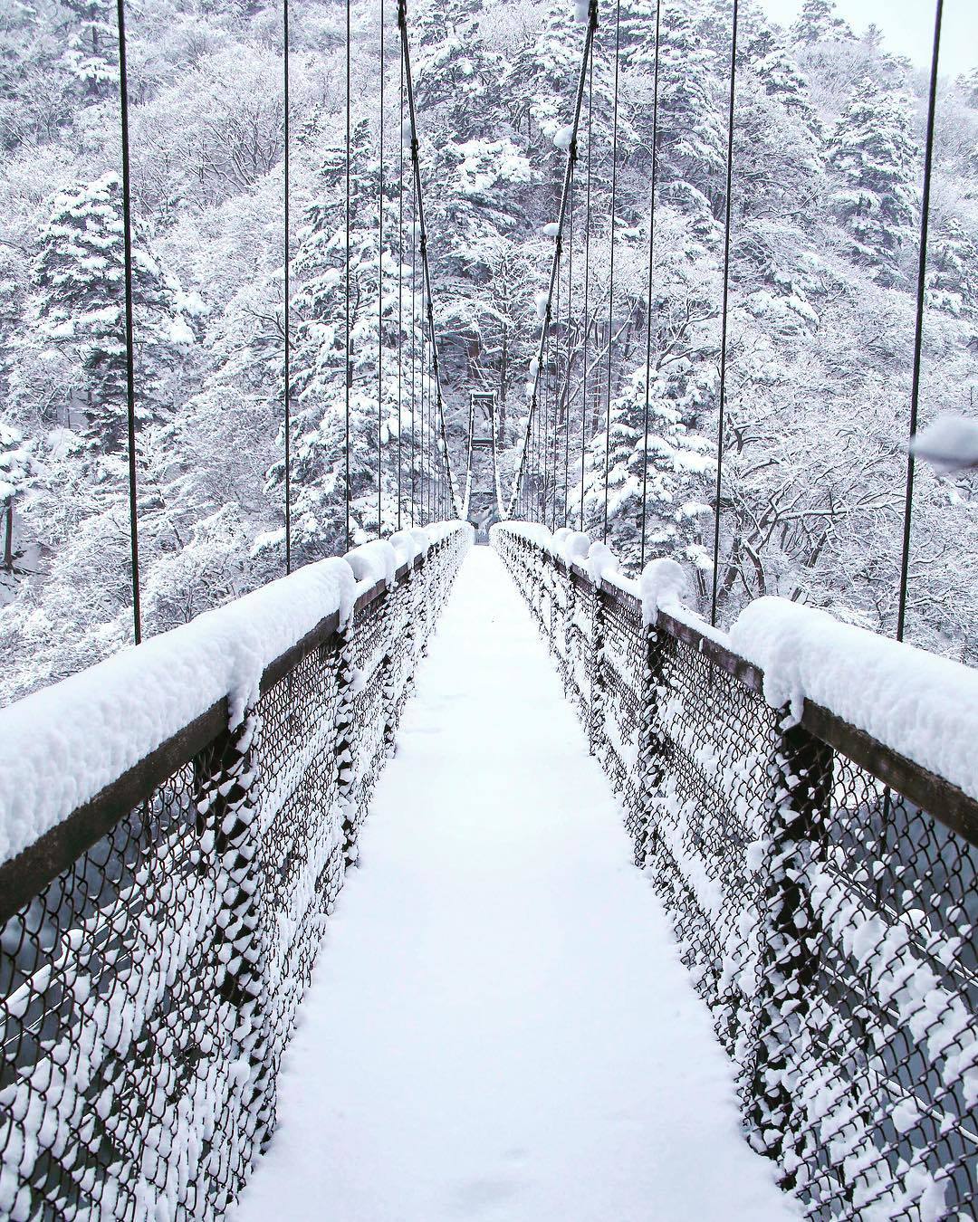  大雪覆盖的吊桥，来自摄影师Kotan。 