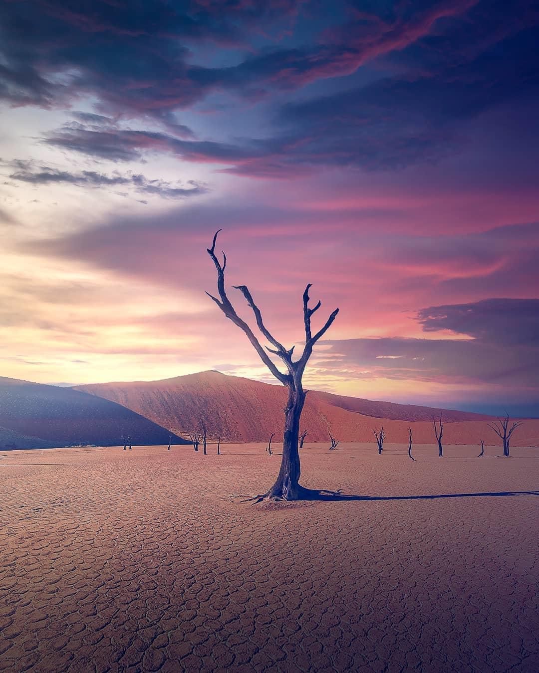  纳米布沙漠，来自摄影师Grafixart。 