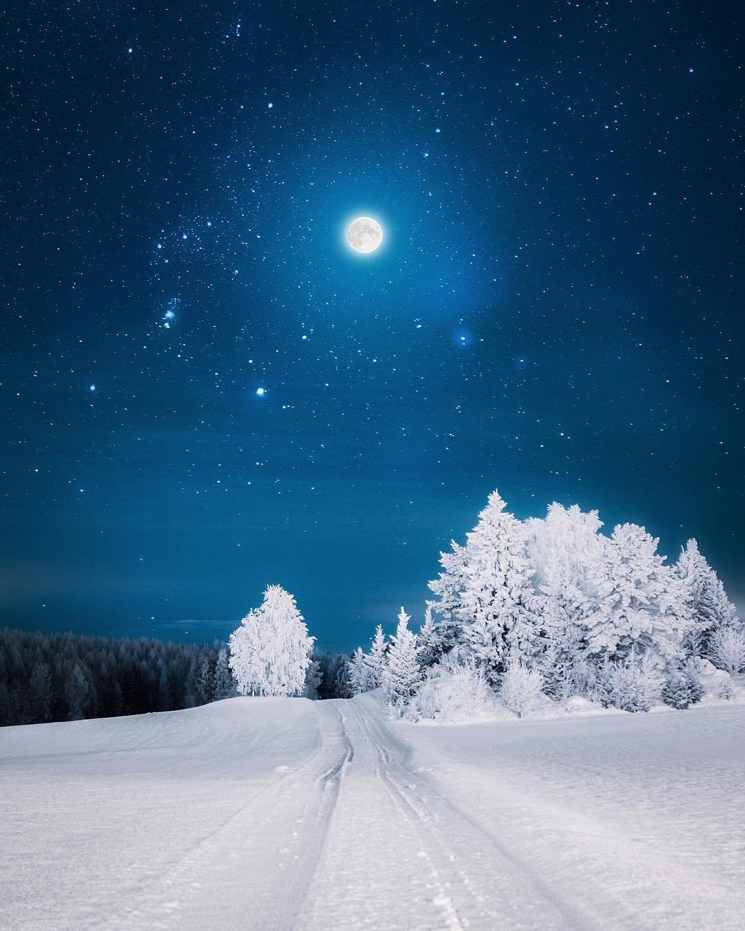   芬兰库奥皮奥的雪夜，来自摄影师Juuso Hamalainen。 