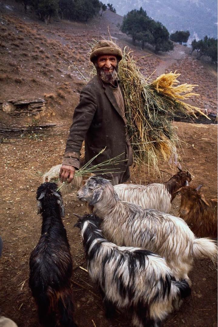  喂羊的牧人，Steve McCurry摄于1981年巴基斯坦。 