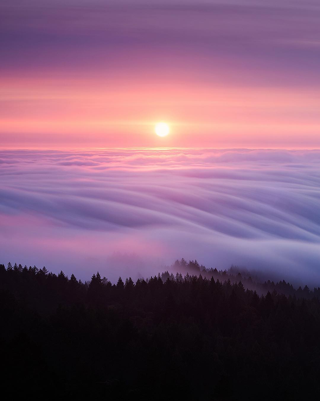 雲上的日出來自攝影師michaelshainblum