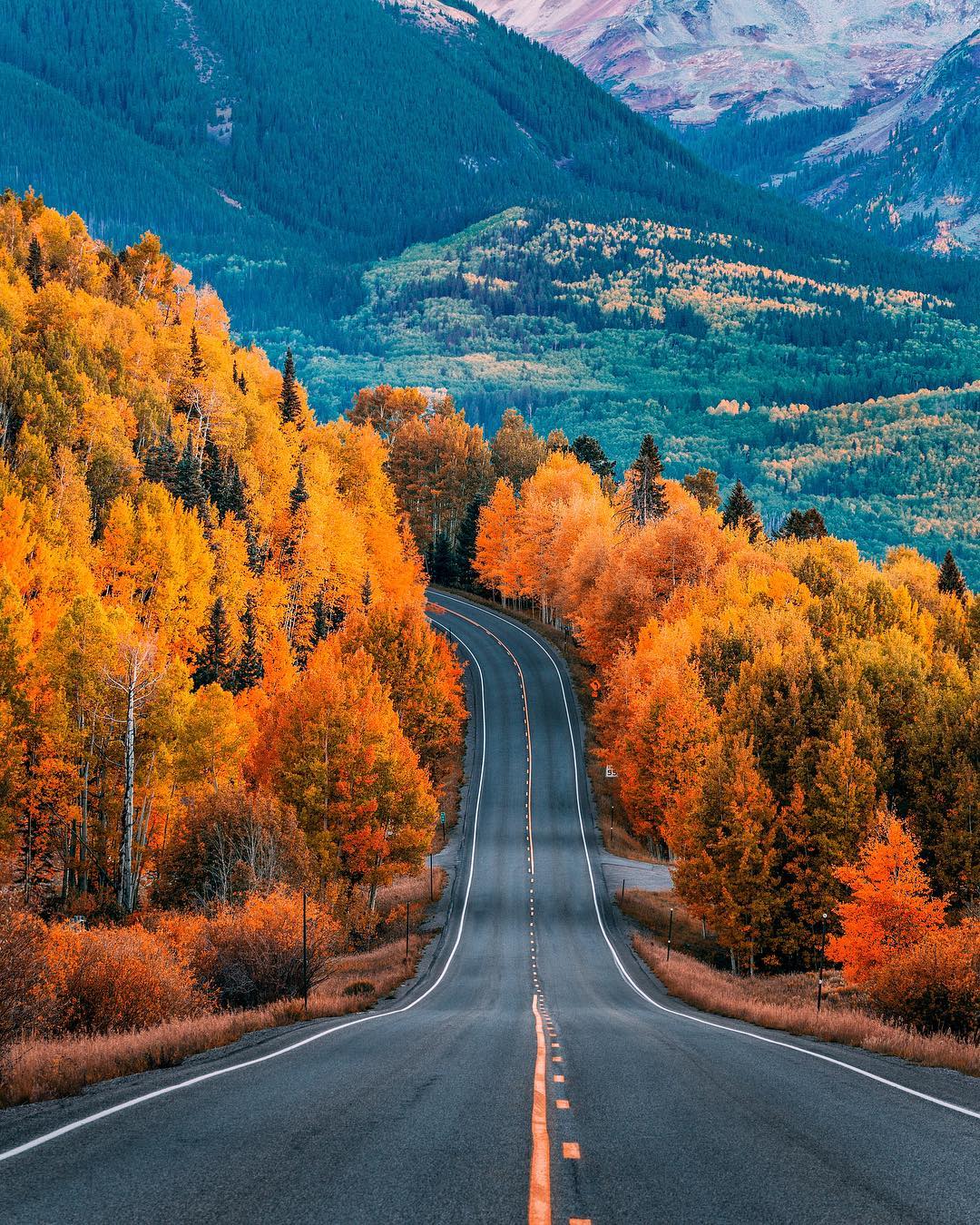 秋日的山间道路来自摄影师niazuddin