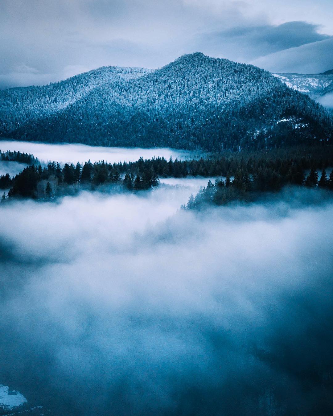 雾气笼罩的华盛顿州福克斯来自摄影师nathanszwarc