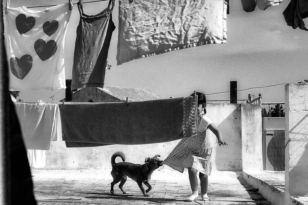  孩子与小狗，来自摄影师Cinicella。 