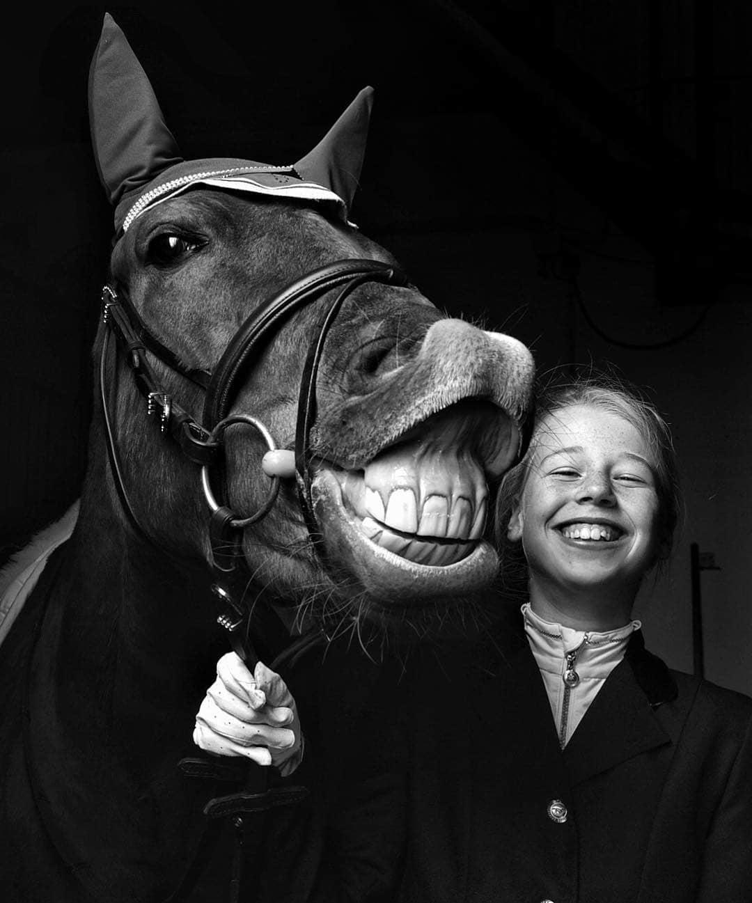  马与女孩，来自摄影师Robert Roozenbeek。 