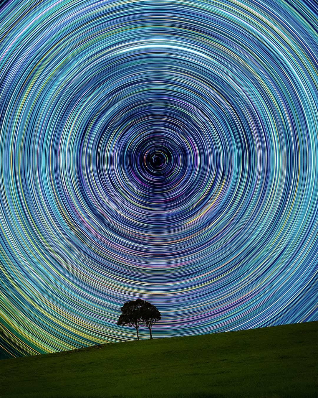  树上的星轨，来自摄影师Nesi。 