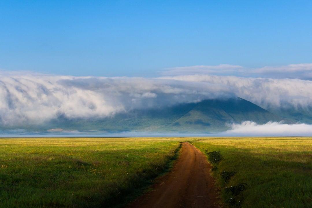  天堂之路，坦桑尼亚恩戈罗恩戈罗火山口，来自摄影师Taylor Glenn。 