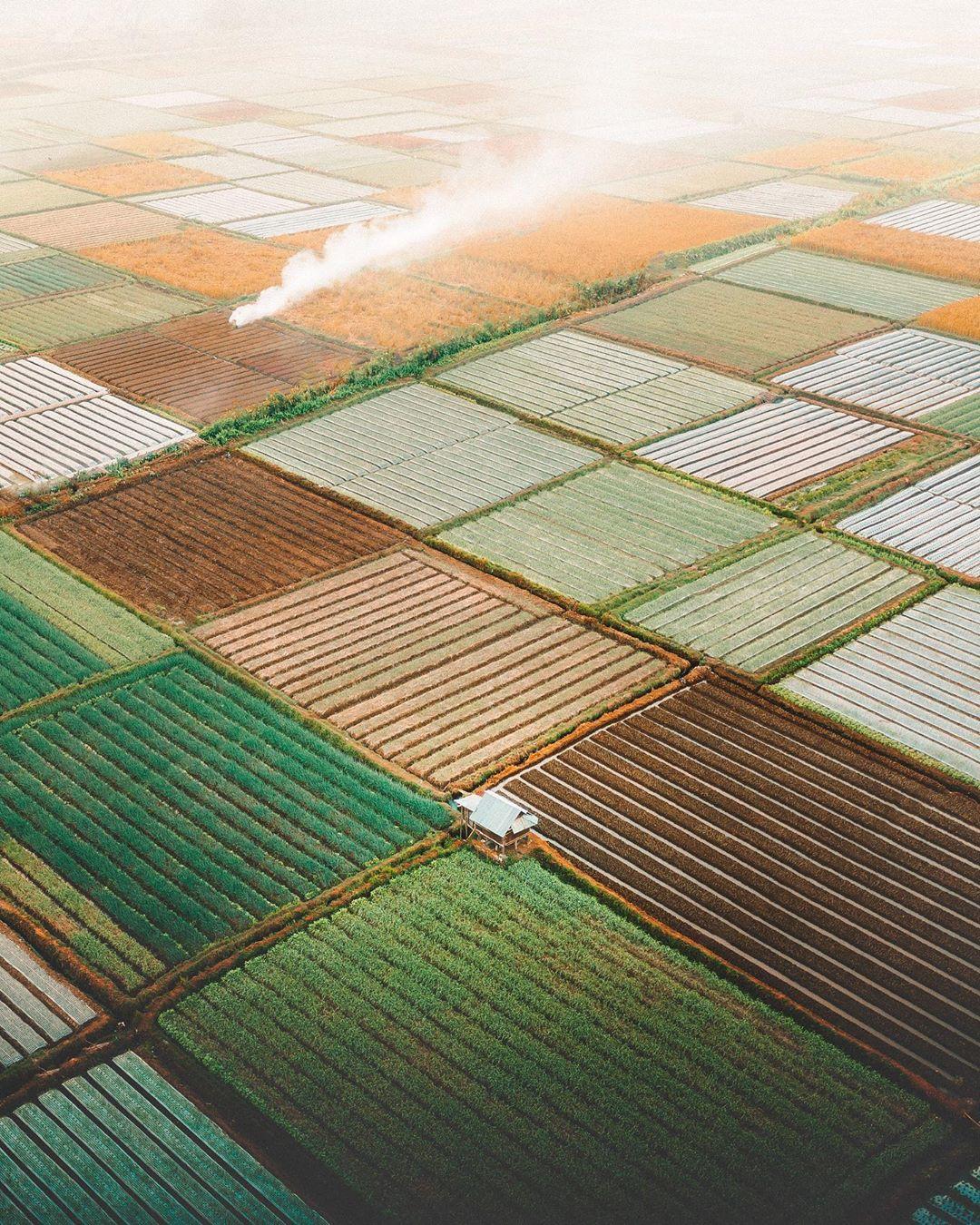  农田，Karl Shakur摄于印尼龙目岛。 