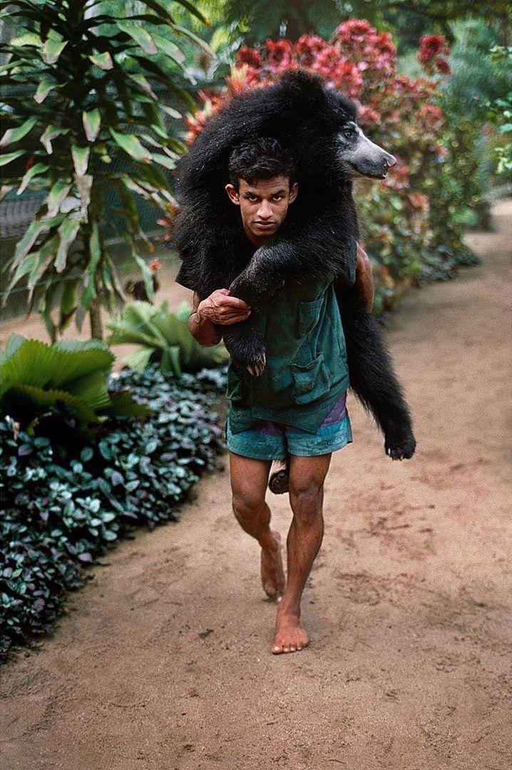  背着熊的动物园管理员，Steve McCurry摄于1995年斯里兰卡。 