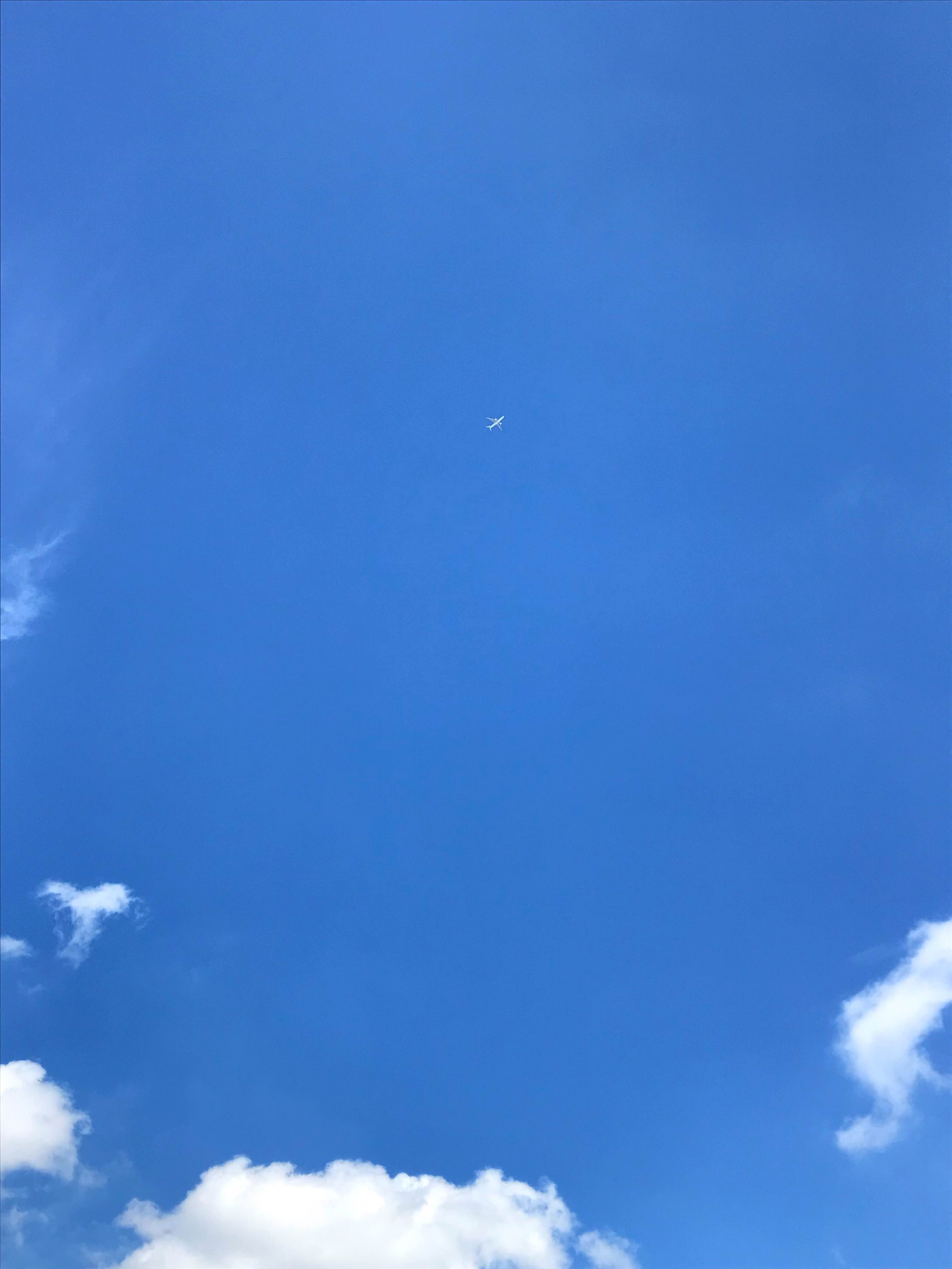 高饱和蓝的一天，心情晴朗。