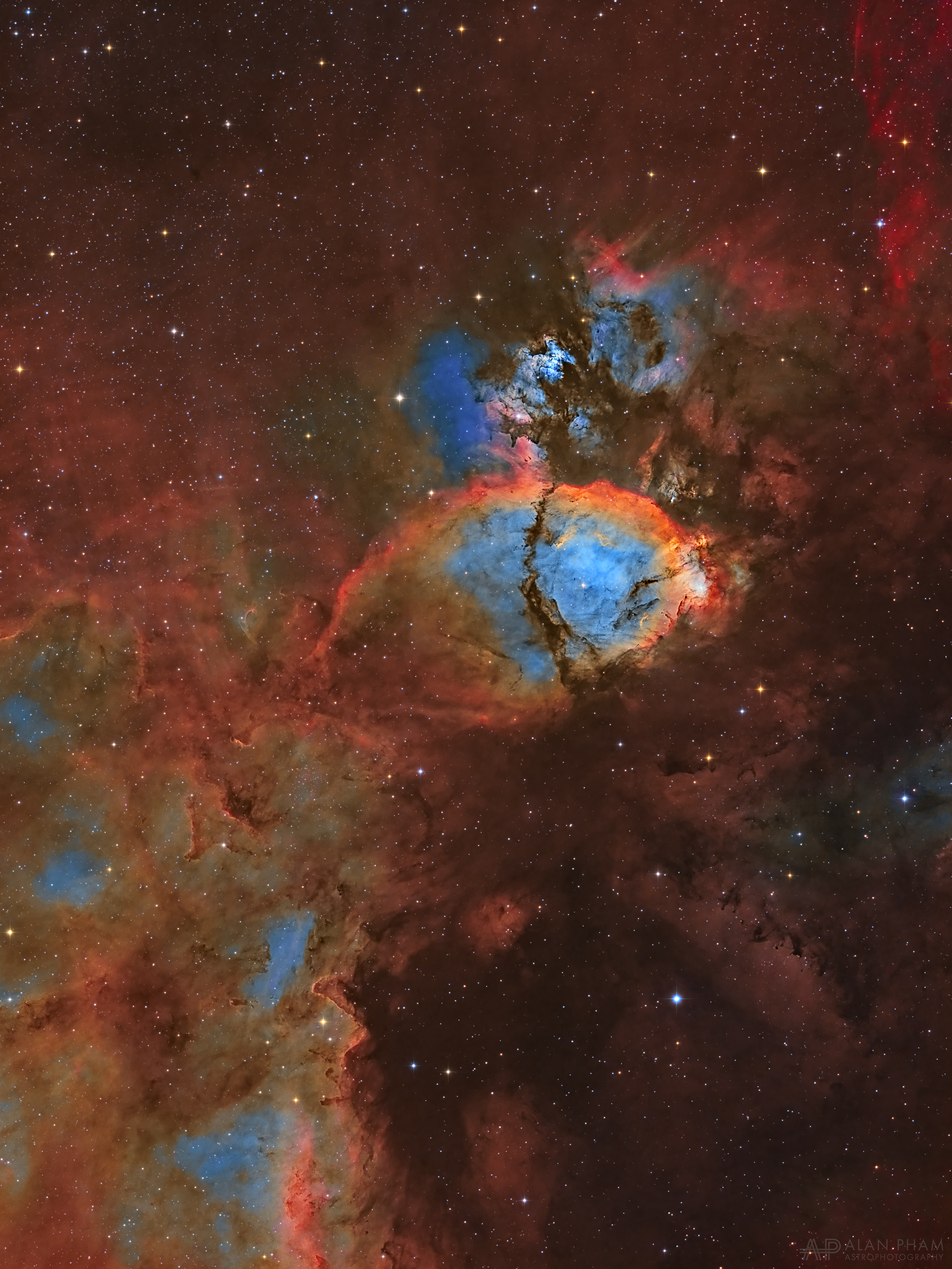  2019年8月2日<br />IC 1795: 魚頭星雲 <br />影像提供與版權: Alan Pham <br />說明: 對某些人來說，這團星雲形似一顆魚頭。 這幅彩色星空影像，呈現了位在北天仙后座的IC 1795之輝光氣體和不透光塵埃雲。 星雲的色彩則按照哈伯配色表，把源自氧、氫和硫原子的窄波段輻射依次渲染為藍、綠和紅等色澤；接著，數據再和透過寬波段濾鏡拍攝的影像融合成這張照片。 在天空中，IC 1795離著名的英仙座雙星團不遠，本身則緊鄰著IC 1805 (心臟星雲)，是一個大分子雲邊緣的恆星誕生區複合體之一部分。<br /> 
