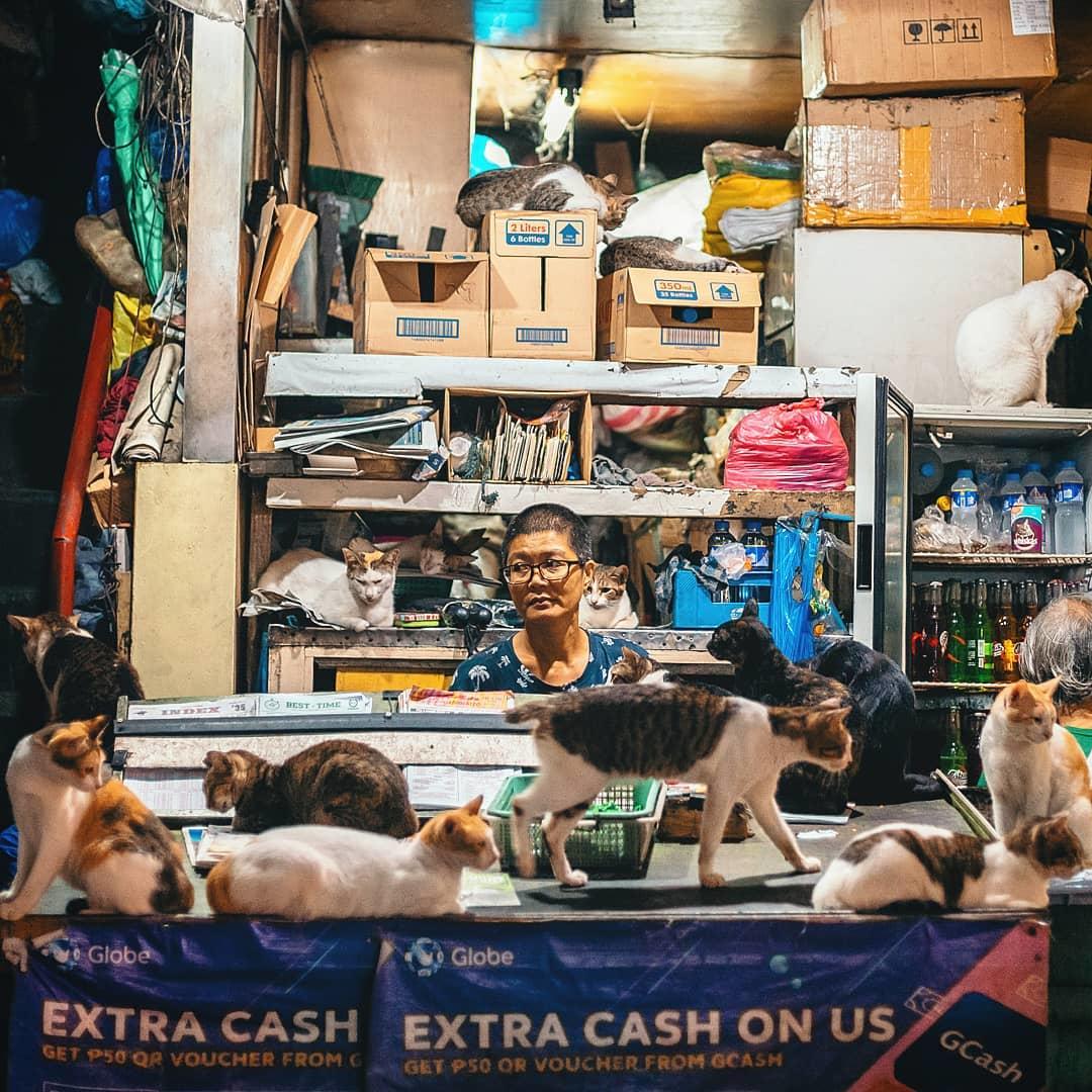  菲律宾帕赛市街头的店主和她的猫，来自摄影师Jilson Tiu。 