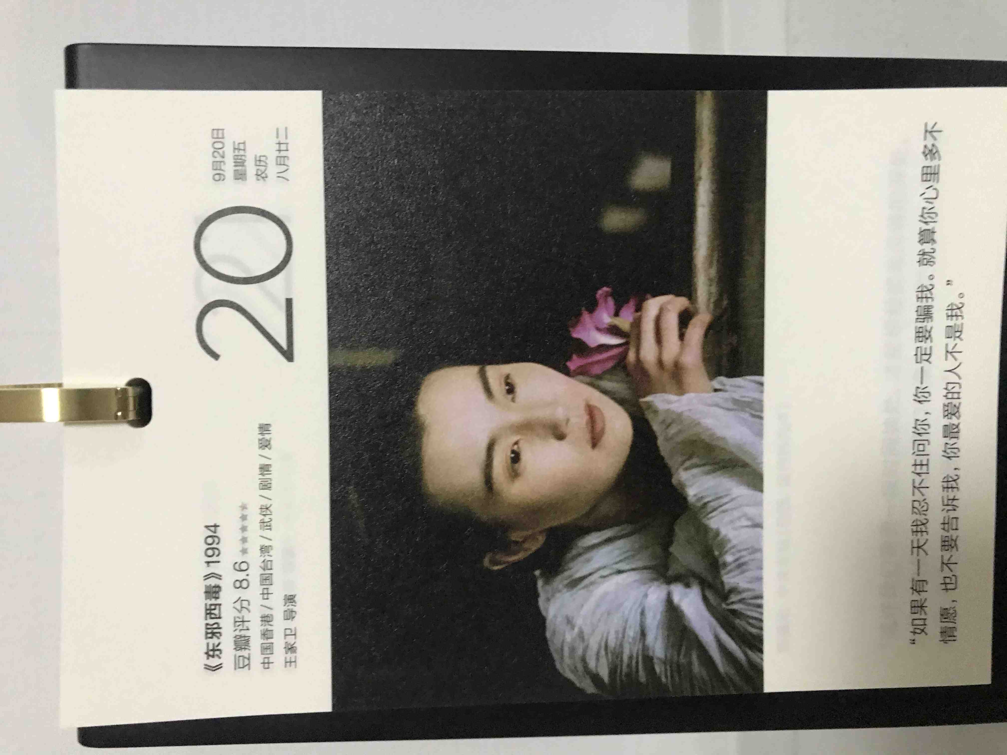 2019年9月20日。<br/>如果有一天我忍不住问你，你一定要骗我。就算你心里有多不情愿，也不要告诉我，你最爱的人不是我。<br/>《东邪西毒》