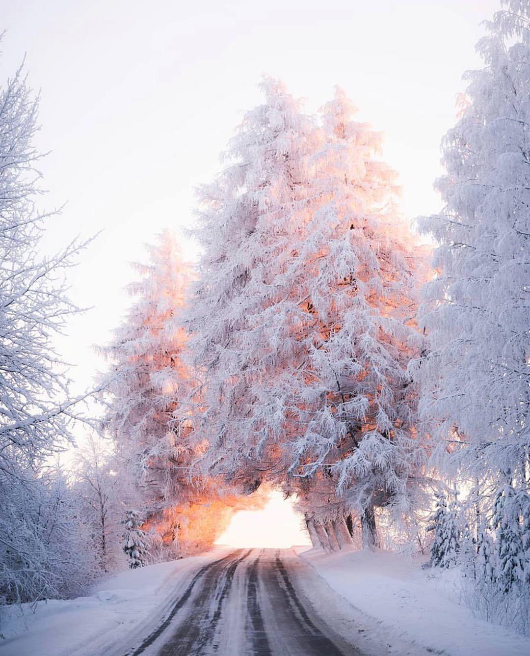  天堂之路，Jukka Paakkinen摄于芬兰。 