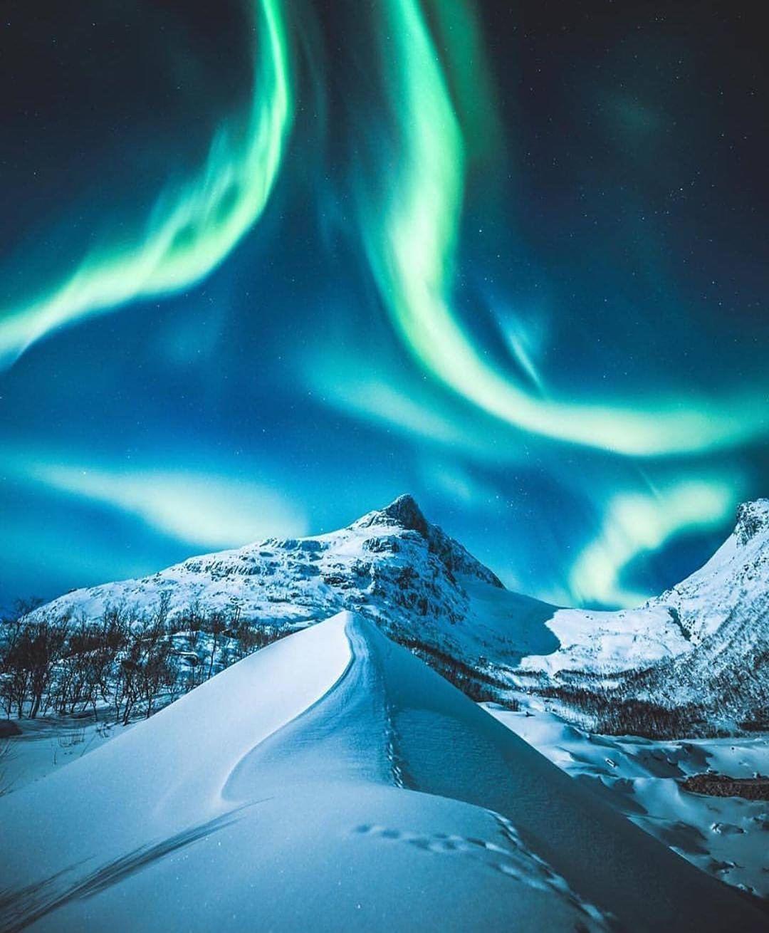  雪地极光，来自摄影师Gabriel Arne Hofstra。 