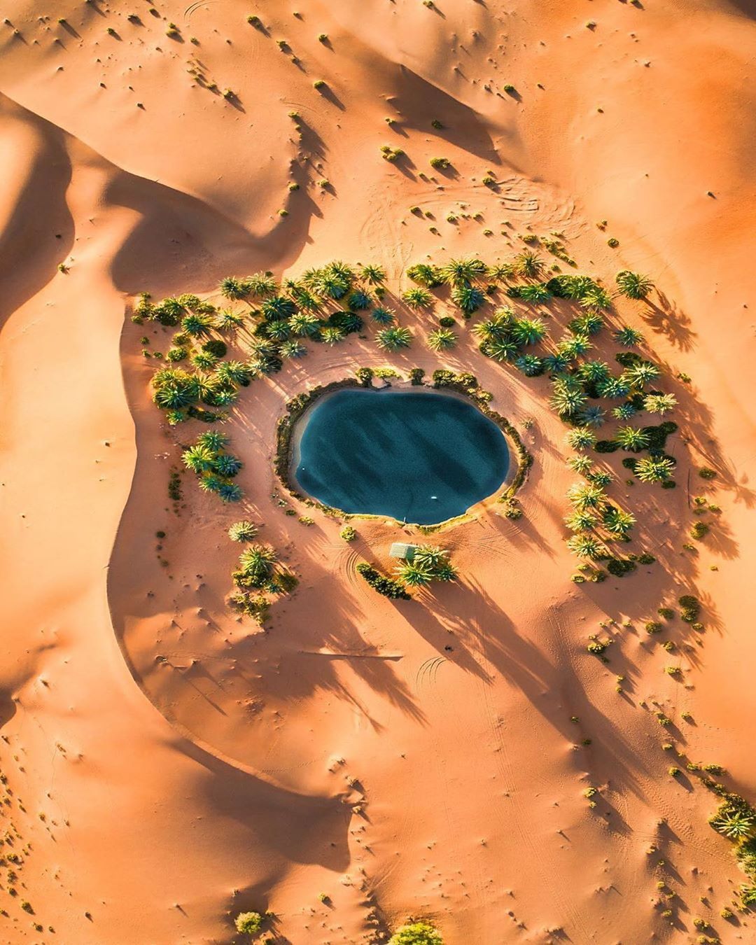 沙漠绿洲的最美图片图片