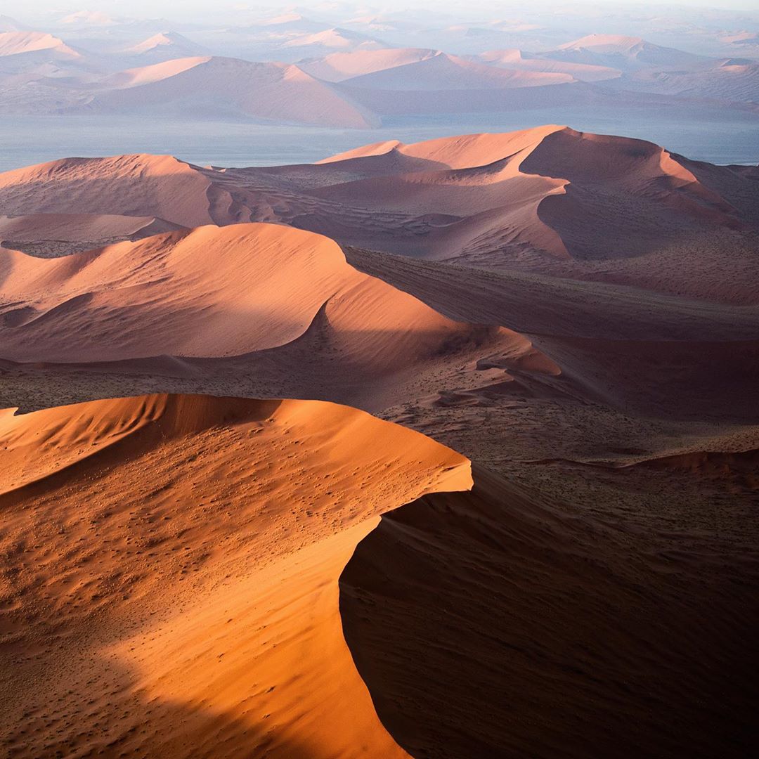 晨光中的纳米布沙漠来自摄影师harmansinghheer
