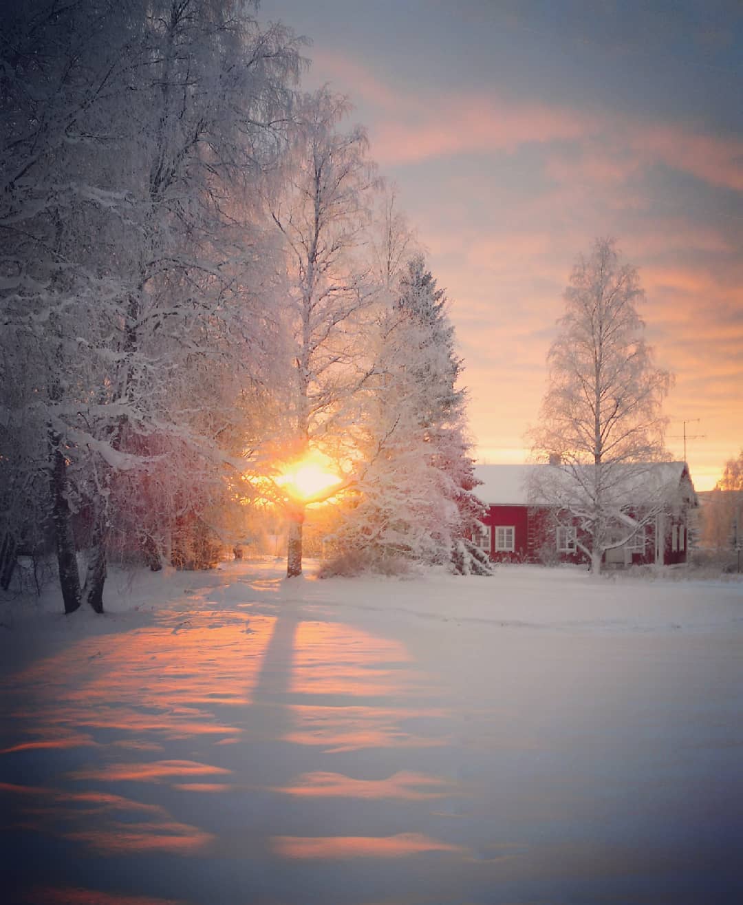 冬季清晨图片唯美图片