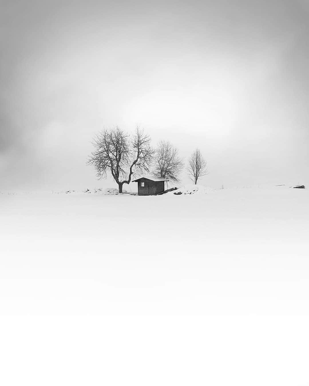  雪地里的小房子，来自摄影师Dasha Dani。 