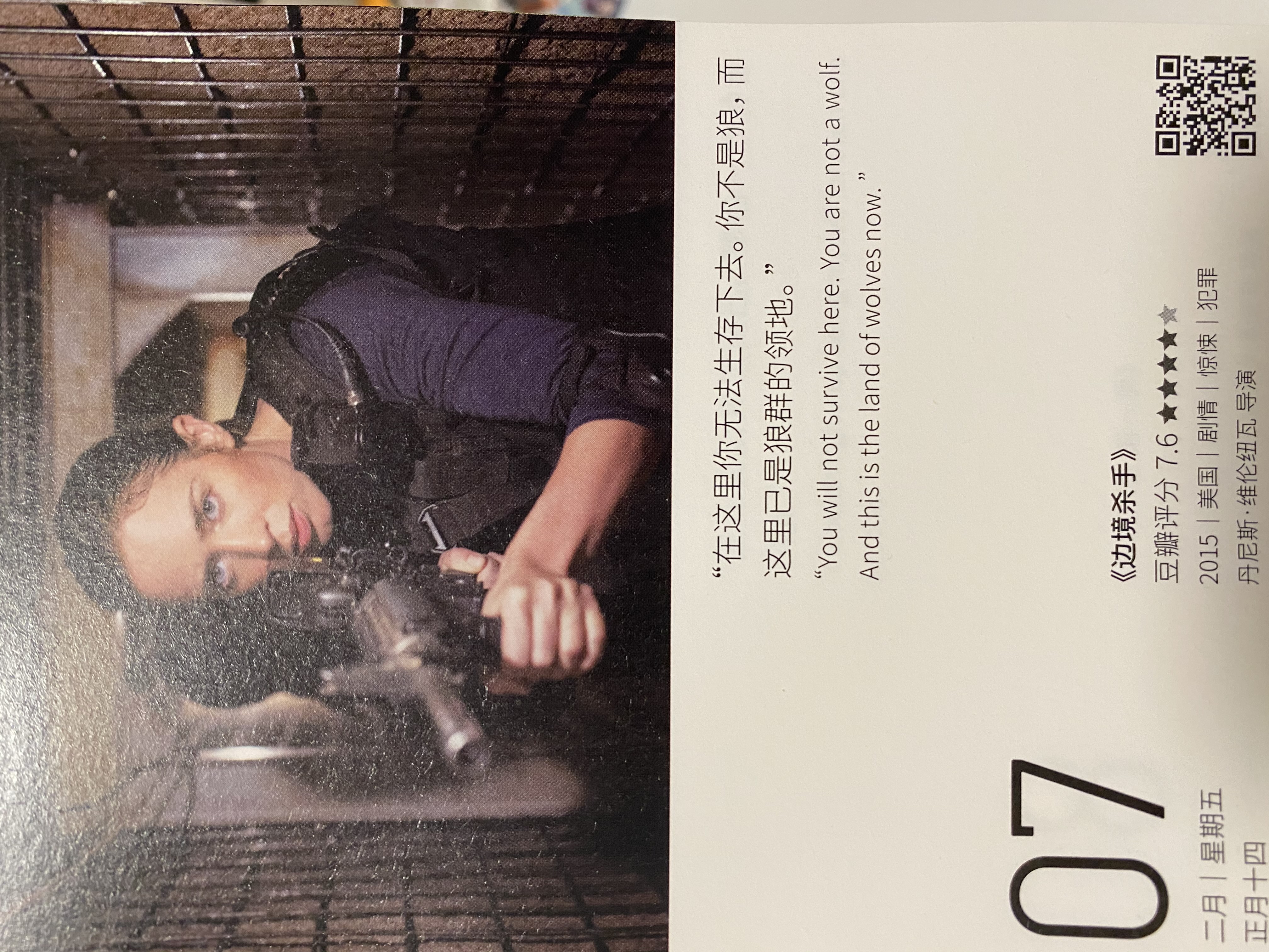 2020年2月7日。<br/>在这里你无法生存下去。你不是狼，而这里已经是狼群的领地。<br/>《边境杀手》
