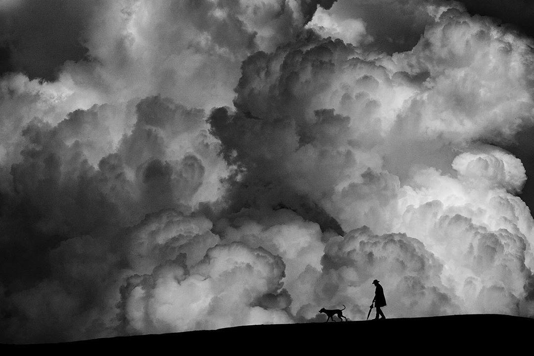  老人与狗，来自摄影师Henki Lee。 
