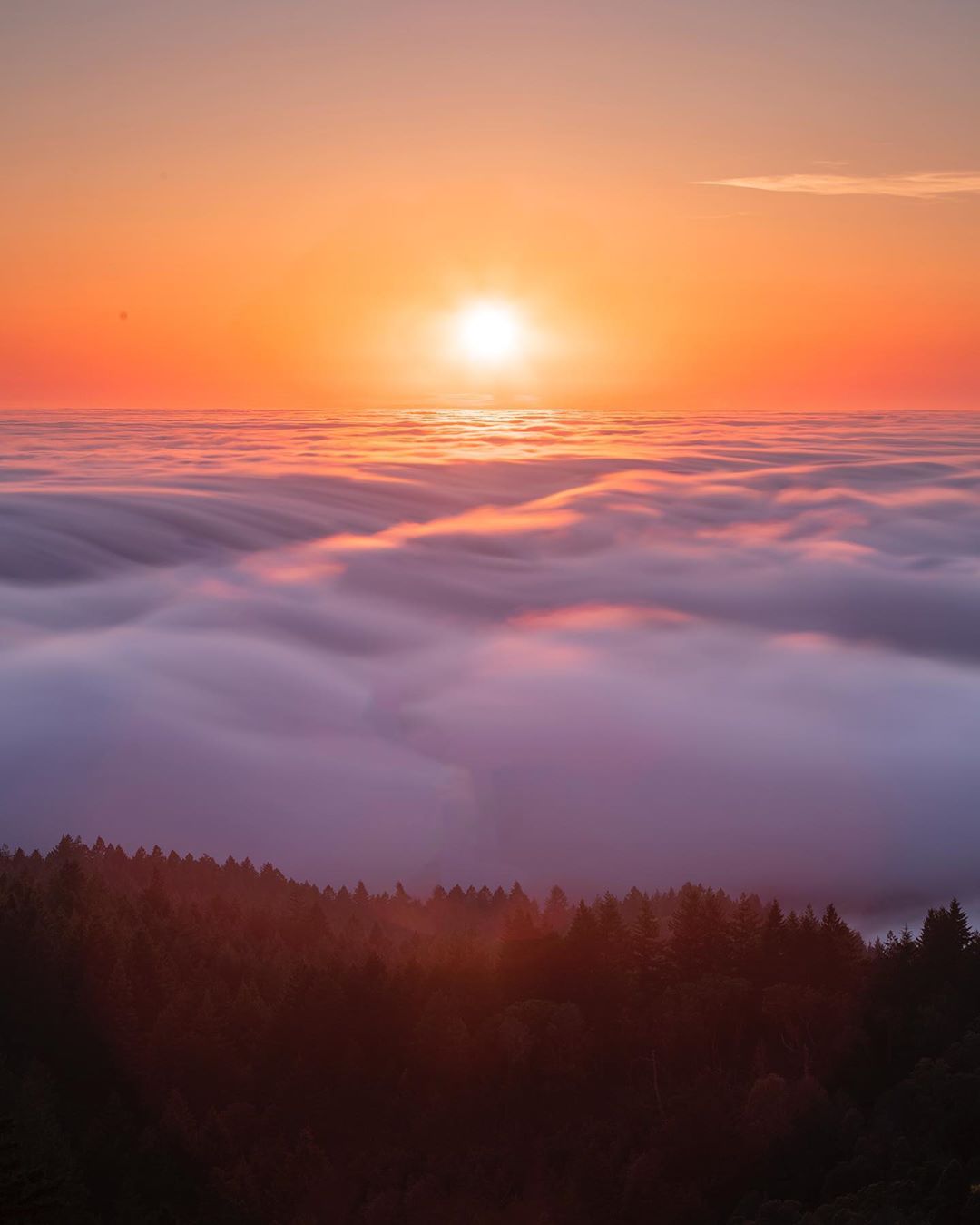 云上的日出来自摄影师vincentjames