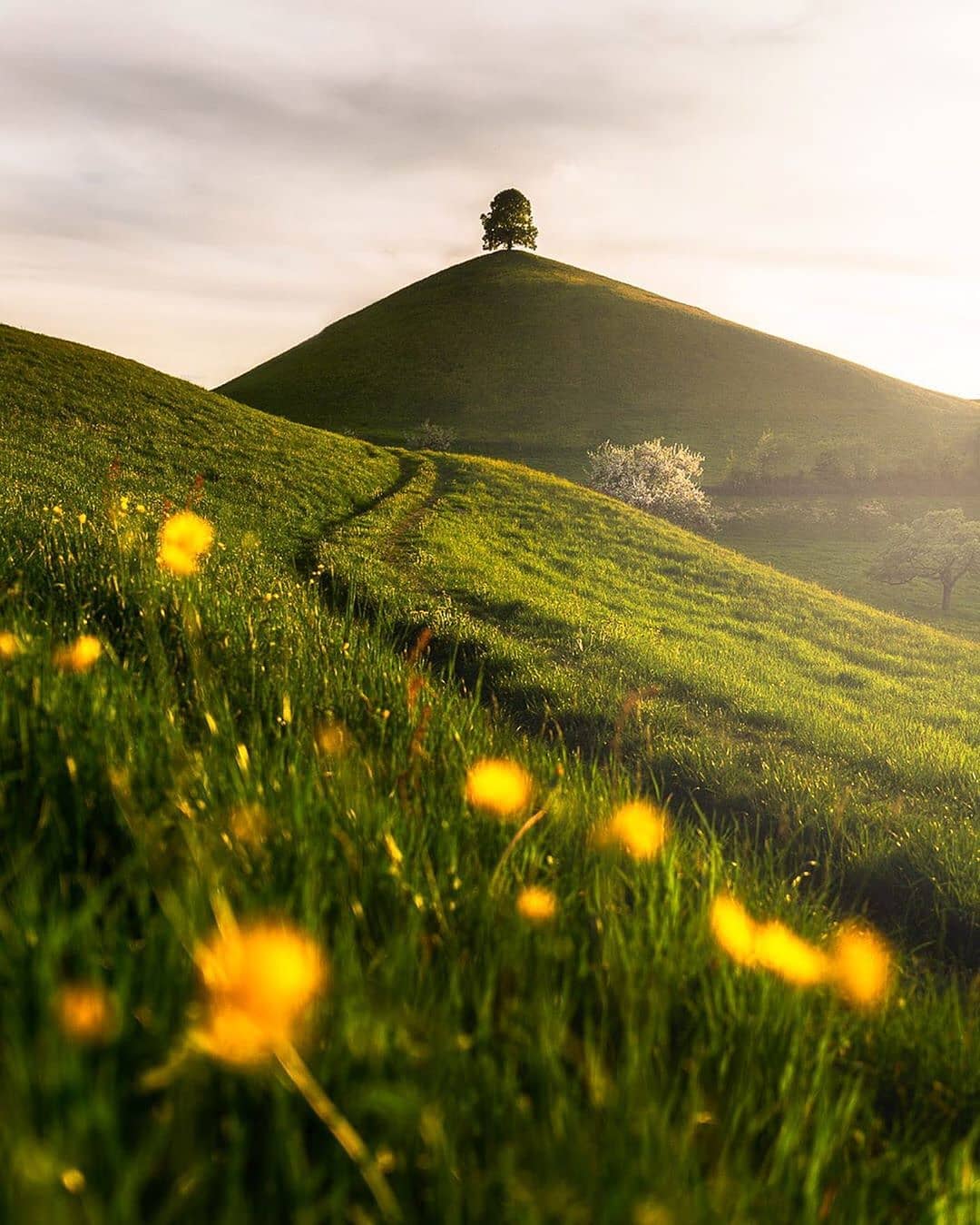 青草山坡来自摄影师visualframing