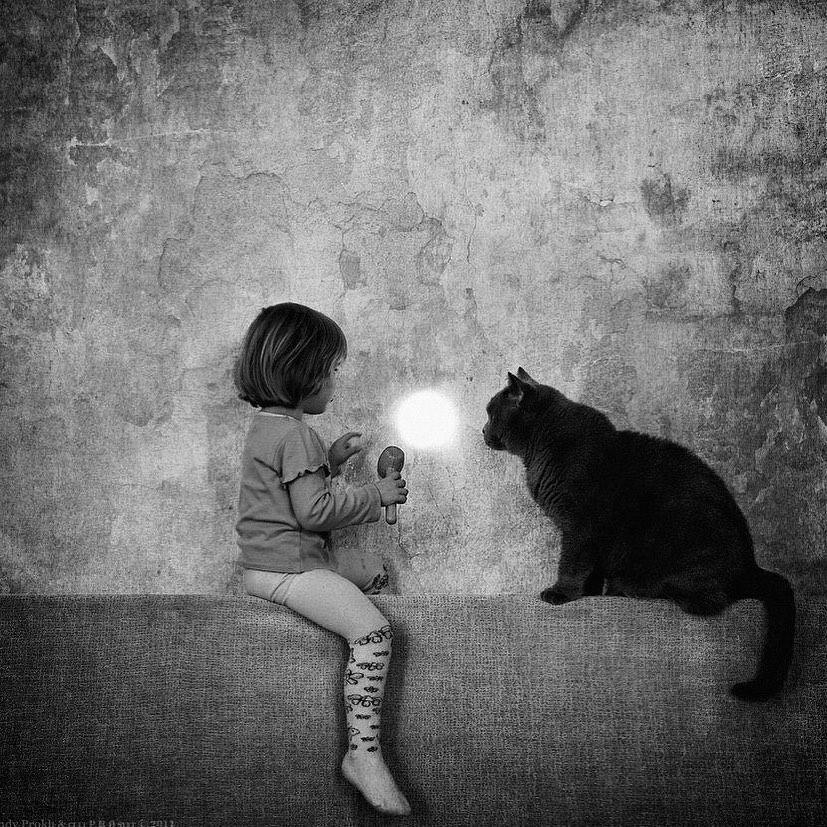  与猫玩耍的孩子，来自摄影师Andy Prokh。 