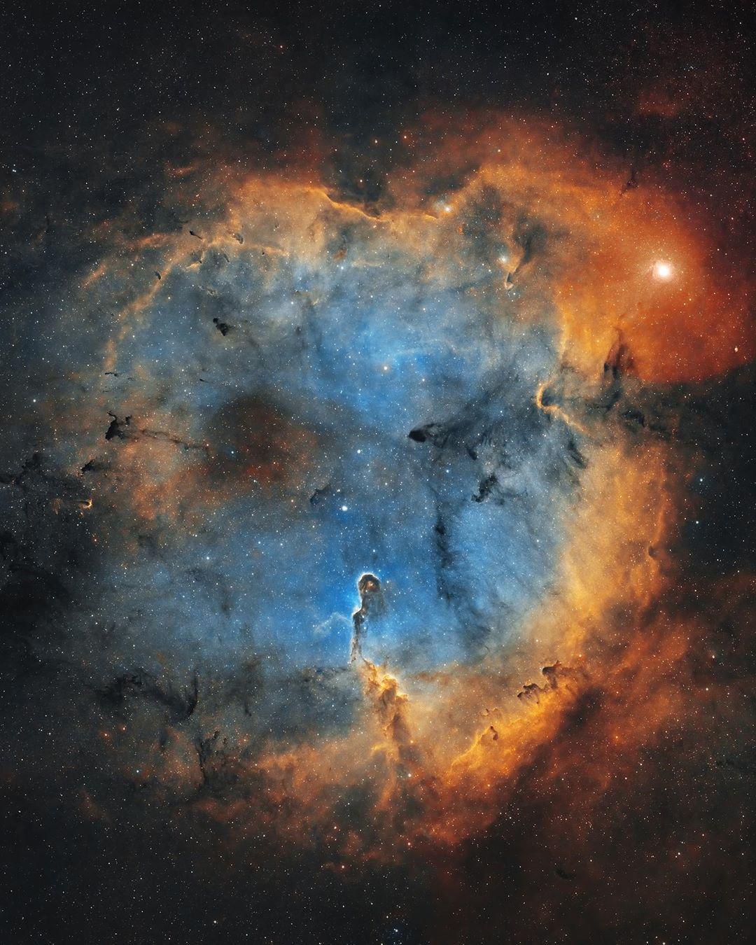  象鼻管星云是位于仙王座巨大的游离气体区域IC 1396内，距离地球约2400光年的星际物质高度集中区域，来自摄影师Bray Falls。 