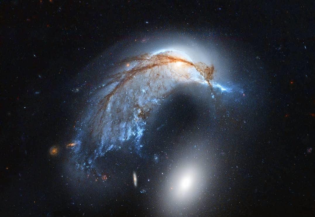  海豚星系，来自哈勃太空望远镜。 