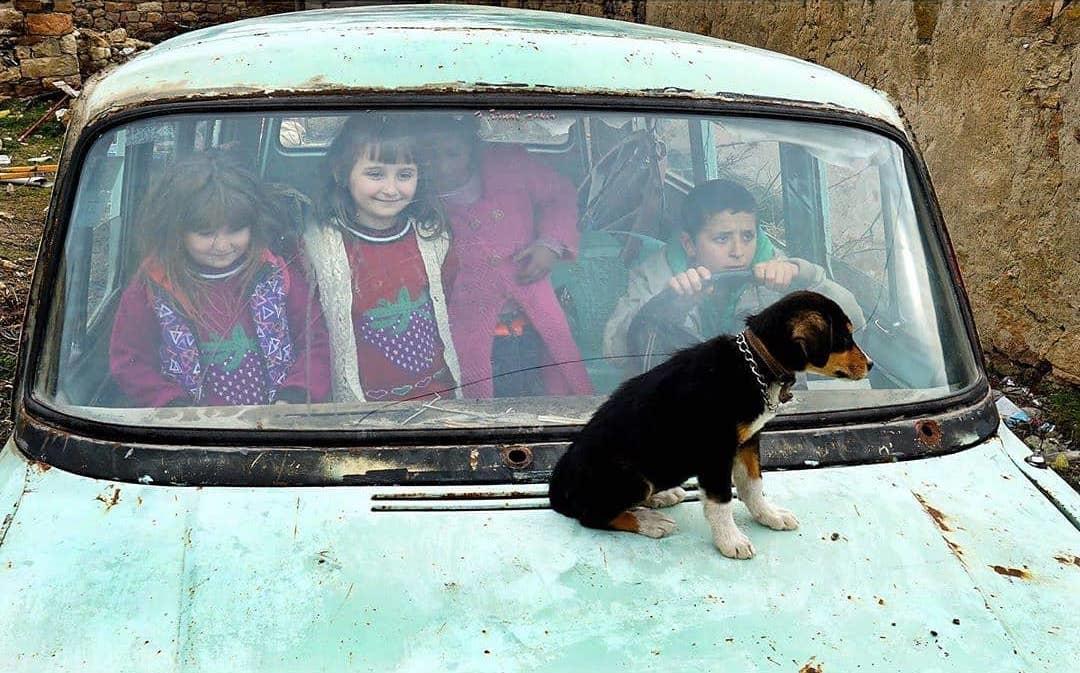  玩耍的孩子与狗，来自摄影师Reyhan Turk。 