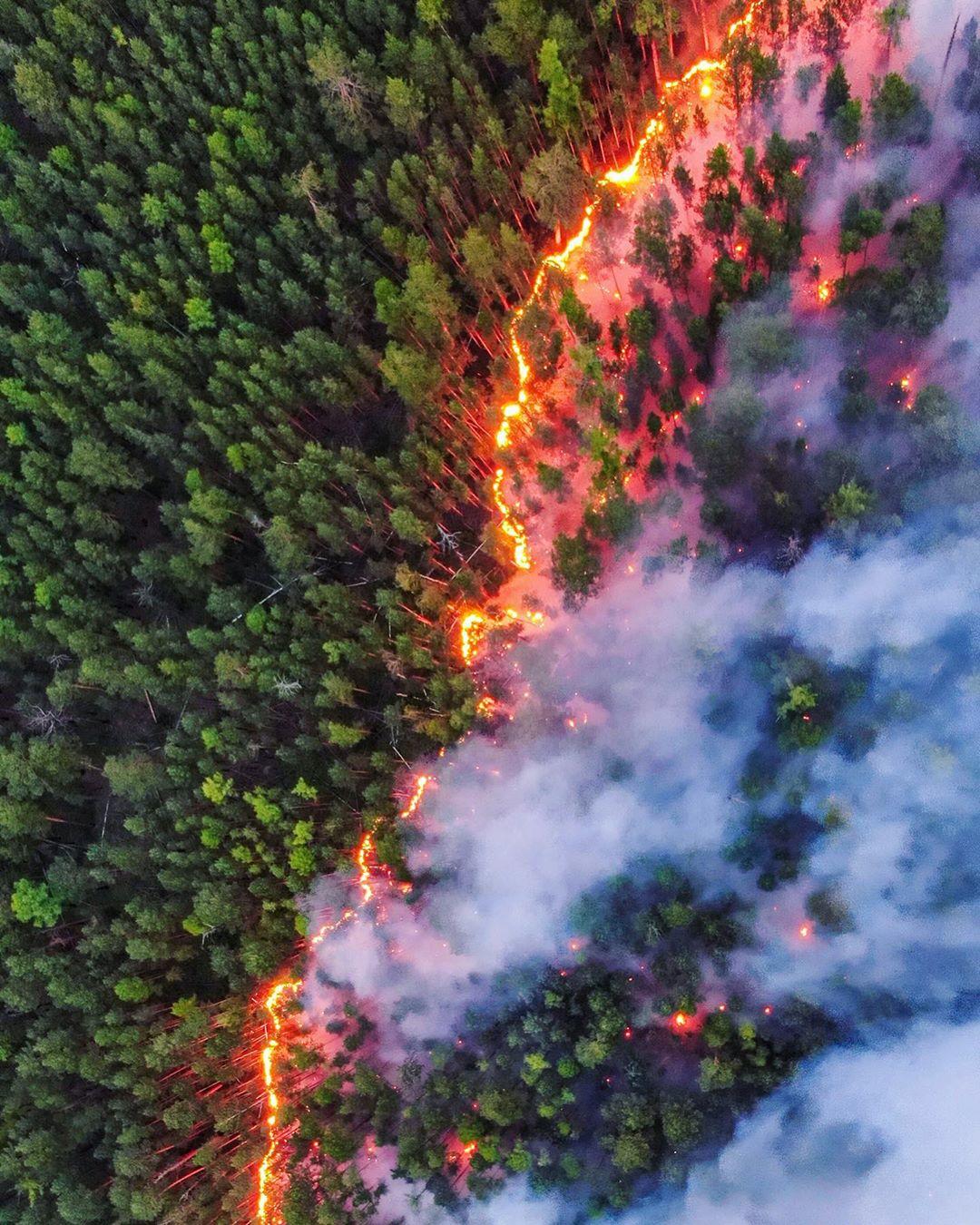  俄罗斯西伯利亚森林火灾，来自摄影师Julia Petrenko。 