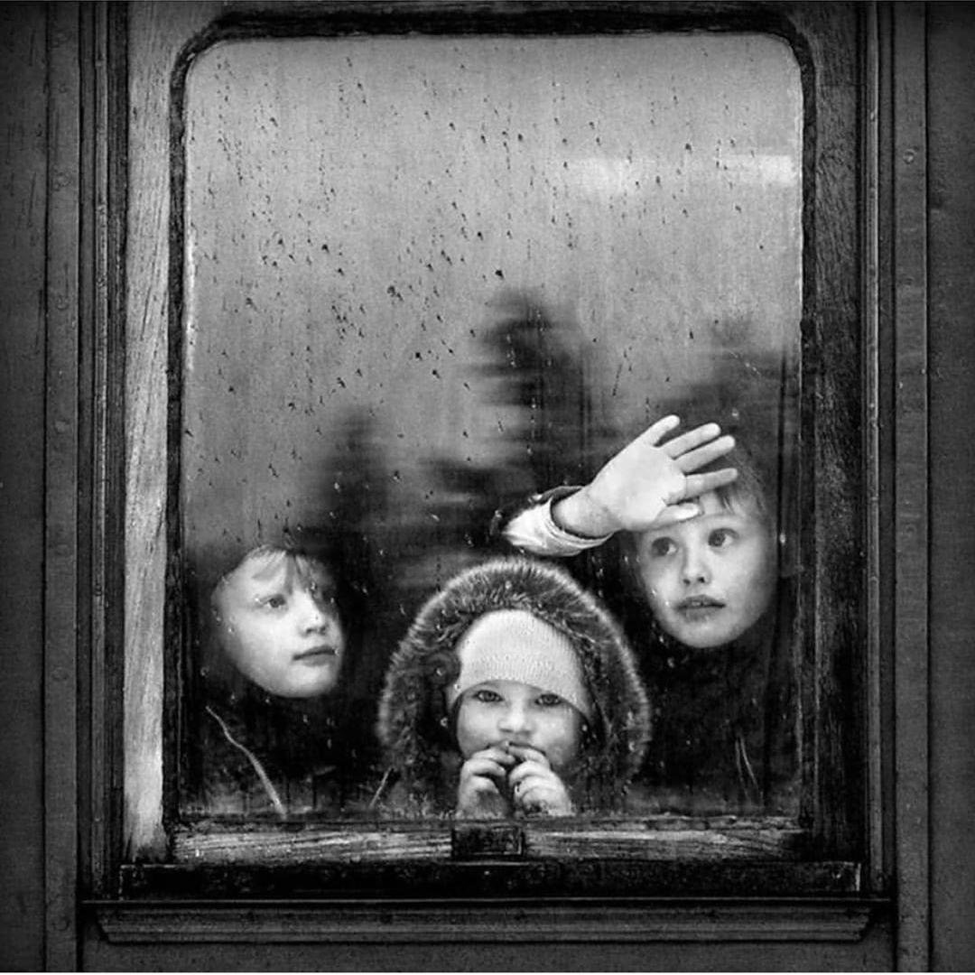  窗边的孩子，来自摄影师Krister Andersson。 