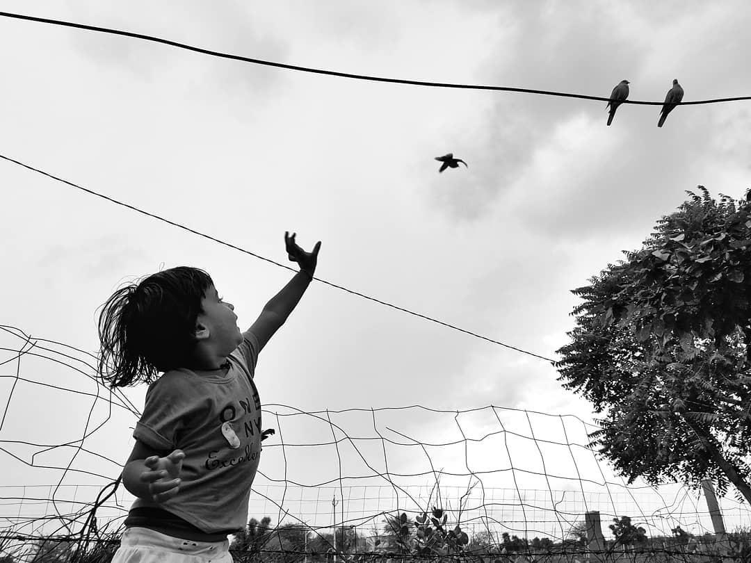  抓飞鸟的孩子，来自摄影师Sunil Sharma。 