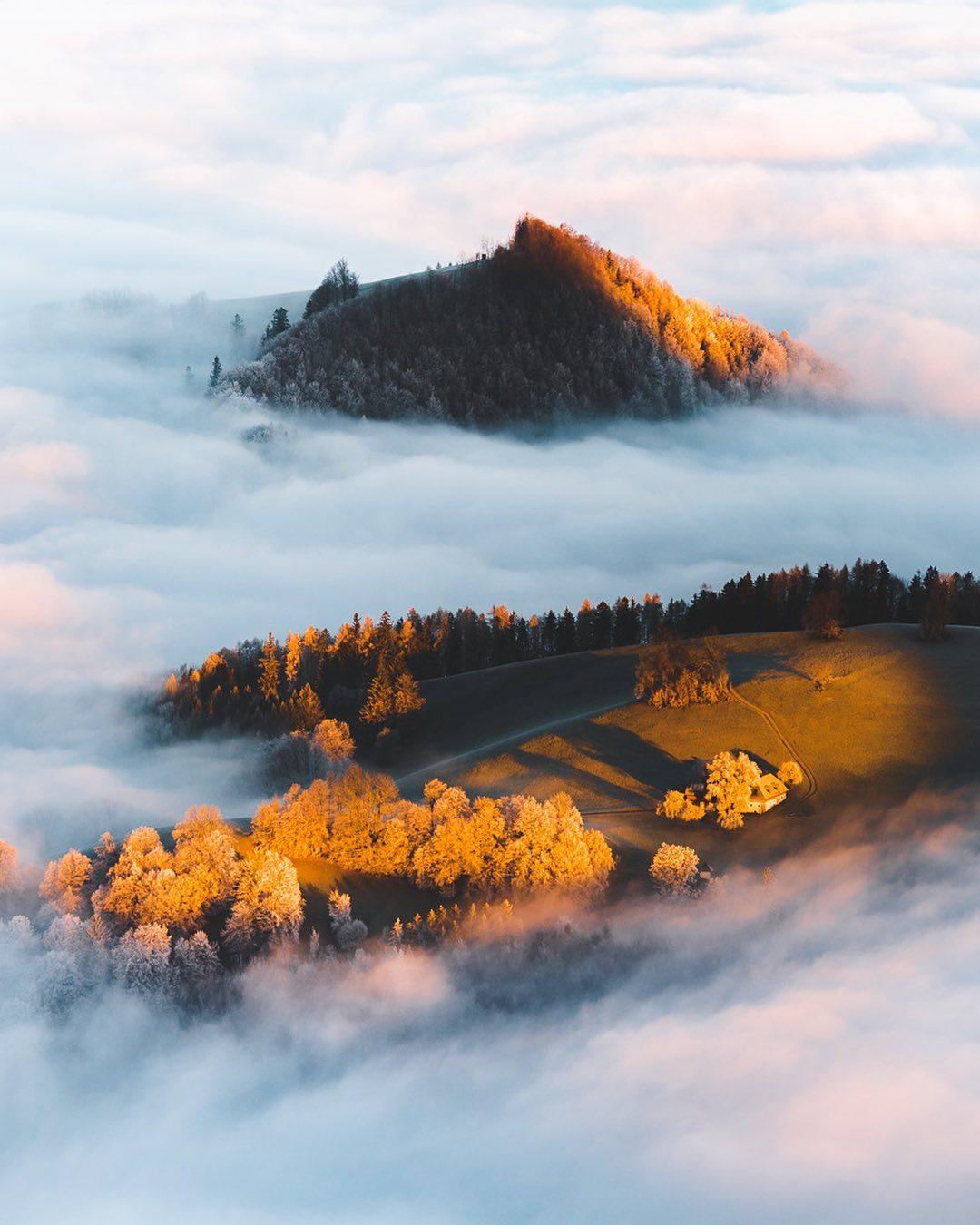  秋日晨雾，来自摄影师PHILIPP MITTERLEHNER。 